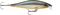 RAPALA SHADOW RAP SHAD 9 ROL VAAPPU – kuva 1