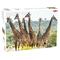 Tactic Animals: Tall Giraffes 1000p palapeli – kuva 5