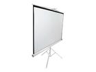 71"" Tripod screen
