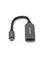 StarTech.com adapter cable - HDMI / USB – kuva 1