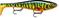 RAPALA X-RAP PETO 20 ROL VAAPPU – kuva 2