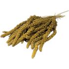 JR FARM Hirssintähkä Keltainen 250 g
