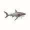 Schleich Wild Life 14809, valkohai – kuva 1