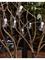 EGLO PARTAJ STRING LIGHTS 5M 16L IP44 WHITE – kuva 1