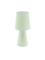 EGLO CARPARA-P TABLE 2L H470 LIGHT GREEN – kuva 1