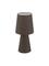 EGLO CARPARA TABLE 2L H470 BROWN – kuva 1