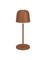 EGLO MANNERA-S TABLE USB-C OPL. TOUCH 2500/3000/4000K IP54 RUST – kuva 1