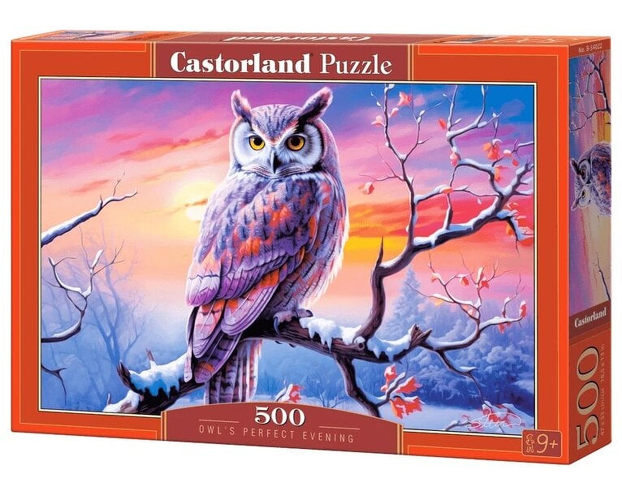 Castorland palapeli Owls Perfect Evening, 500 osaa