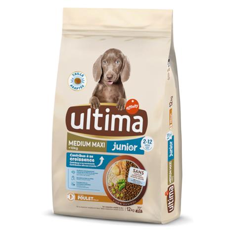 Ultima Medium / Maxi Junior Chicken - 12 kg