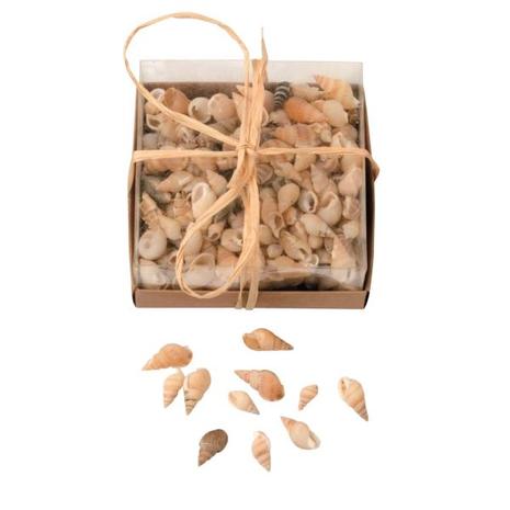 Glorex Shell mix simpukkasetti 90g