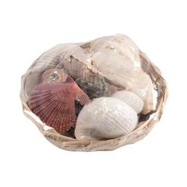 Glorex Shell Basket 14 cm simpukkasetti 350g
