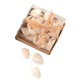 Glorex Shell mix simpukkasetti 110g