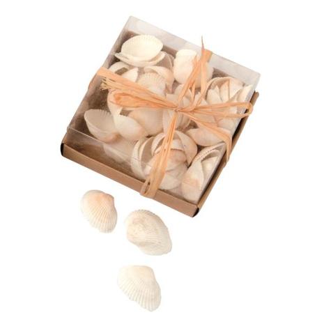 Glorex Shell mix simpukkasetti 110g