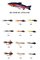 thumb86848094