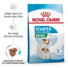 Royal Canin Mini Starter Mother & Babydog - 4 kg, koiranruoka