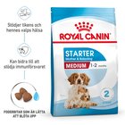 Royal Canin Medium Starter Mother & Babydog 15kg, koiranruoka