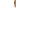 Flos Flauta H225 Riga Wall Light, Copper – kuva 4