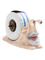 One Piece - Snail Phone Stand – kuva 1