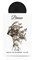 Lattafa Pride Breeze - EdP 100 ml – kuva 4
