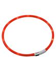 Karlie Visio Light -valopanta, 20 - 70 cm, LED, oranssi