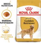 Royal Canin Breed Golden Retriever 25 - 12 kg, koiranruoka