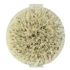 EcoTools Dry Body Brush