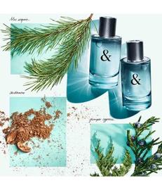 Tiffany & Co. & Love for Him - EdT 90 ml