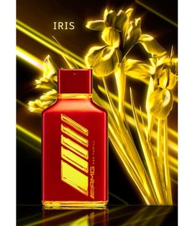Mercedes AMG Red Thrill - EdP 100 ml