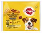 Pedigree 4x100g Adult kastikelajitelma