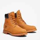 Timberland Timberland Women's 6" Premium Waterproof Boot