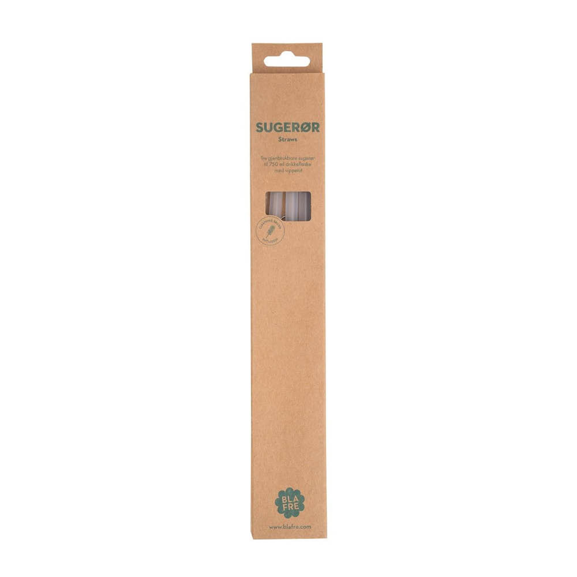 Blafre - Blafre Pilli 750 ml teräspulloon 3 kpl harjalla