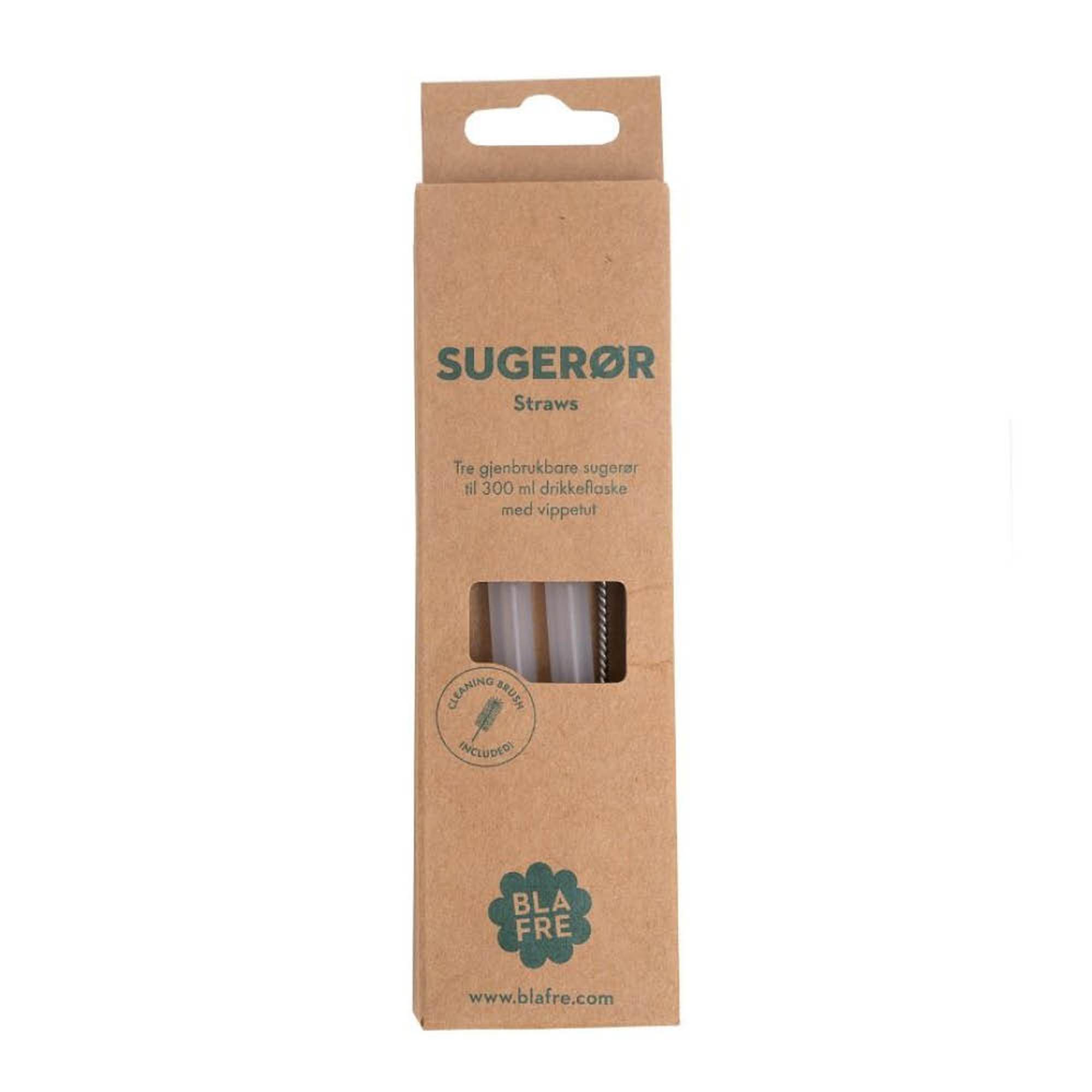 Blafre - Blafre Pilli 300 ml teräspulloon 3 kpl harjalla