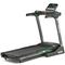 Reebok Jet 200 Series Treadmill – kuva 1