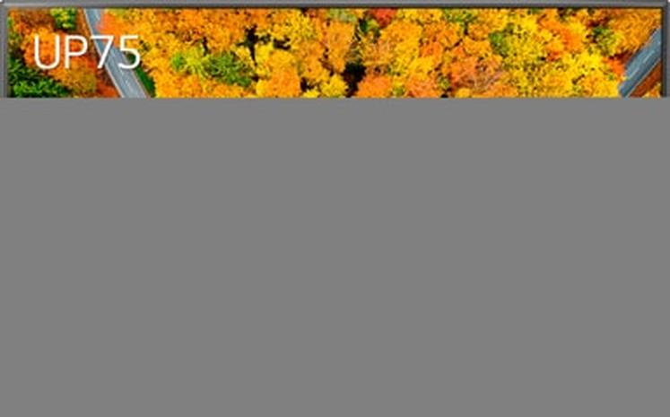 LG 75UP75006 (75"), LED-televisio