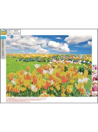 CENTRUM Diamond Painting 30*40cm. Tulipanmark