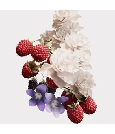 Burberry Her - EdP 30 ml