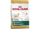 Royal Canin Breed Golden Retriever 29 Junior - 12 kg, koiranruoka