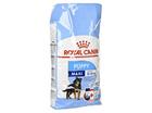 Royal Canin Maxi Junior - 15 kg, koiranruoka