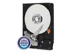 Western Digital Caviar Blue (500 GB, 32 MB, SATA 6Gb/s) WD5000AZLX, ulkoinen kovalevy