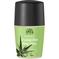 Aloe Vera Crystal Deodorant 50 ml – kuva 7