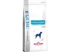 Royal Canin Hypoallergenic Moderate Calorie - Veterinary Diet - 7 kg, koiranruoka