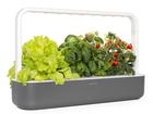 Click & Grow Smart Garden 9, yrttipuutarha