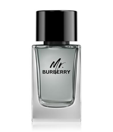 Burberry Mr. Burberry - EdT 100 ml
