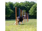 TRIXIE slalomstænger til agility 12 stk. 115 cm plastik 3206