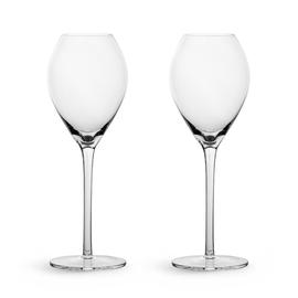 Sagaform Saga Champagne Glasses 20 cl, 2-pack