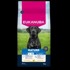 EUKANUBA DOG MATURE LARGE 15 KG