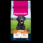 EUKANUBA DOG JUNIOR LARGE 15 KG