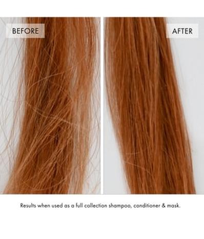 Fekkai Super Strength Protein Power Bond Shampoo Shampoo 250 ml