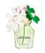 Marc Jacobs Daisy Wild Eau de Parfum 30 ml – kuva 4