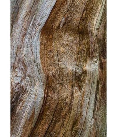 Bvlgari Wood Essence - EdP 100 ml